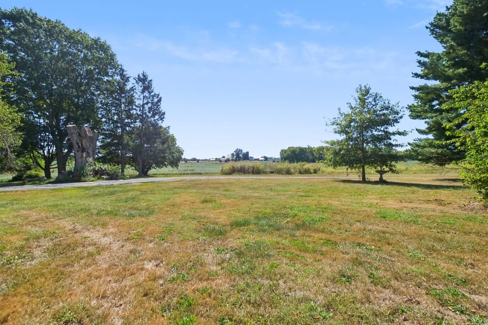 Field, Grassland, Nature, Outdoors, Tree