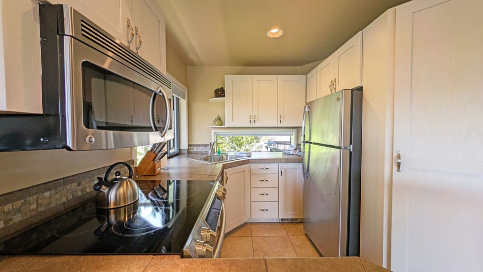 A Full Suite of Stainless Appliances