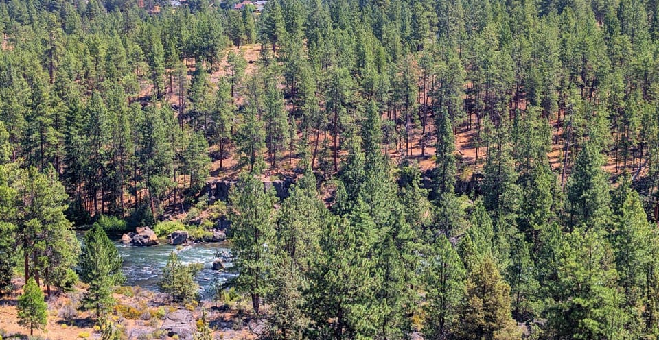 The sounds of a river running through it