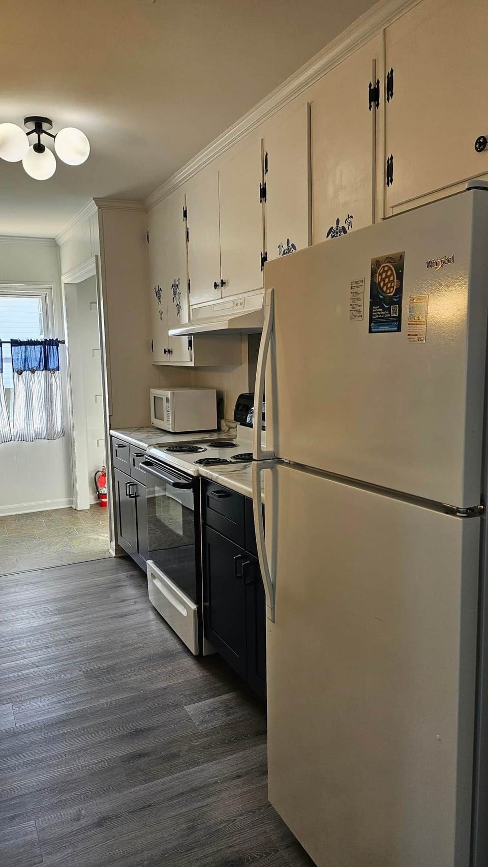 Kitchen Pic 2