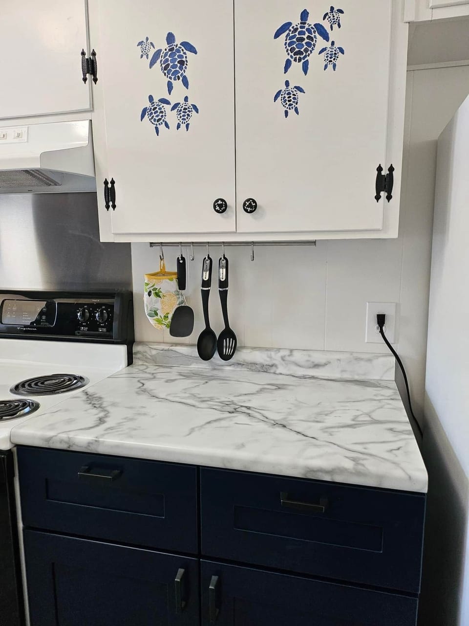 Kitchen Pic 3
