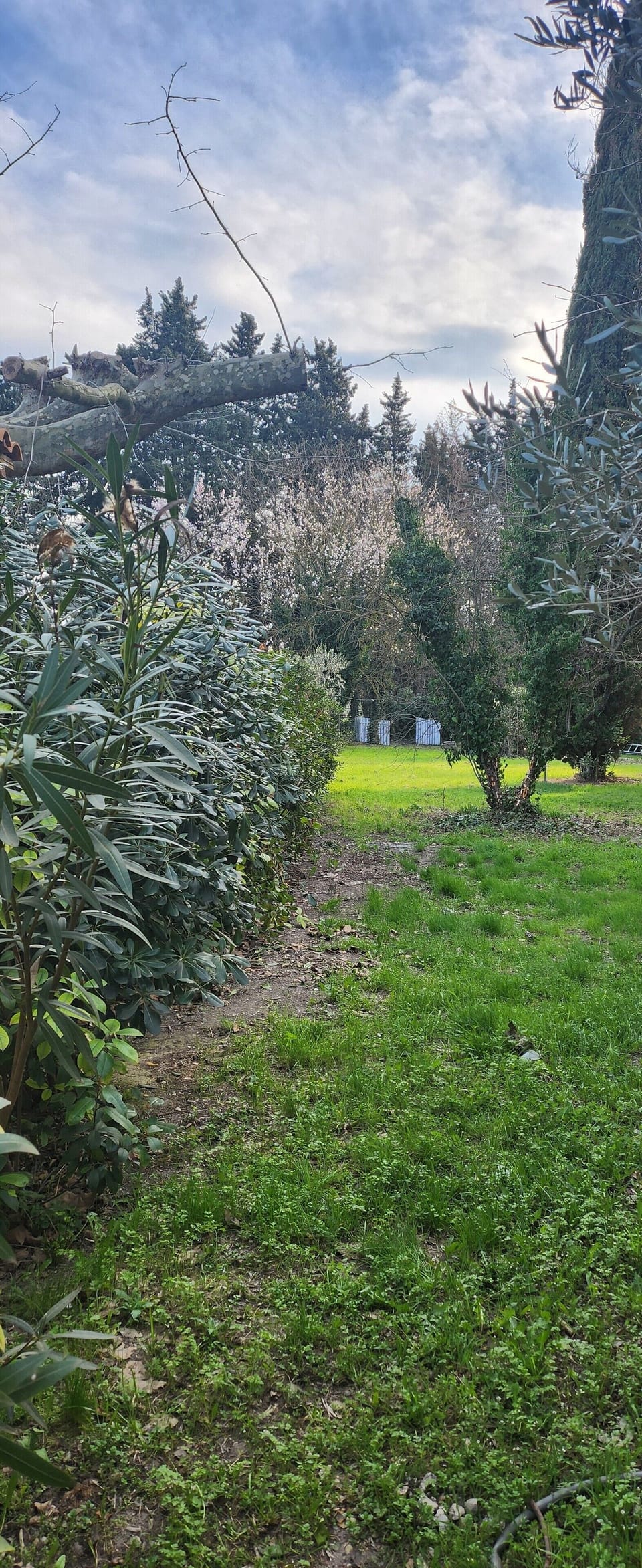 Property grounds