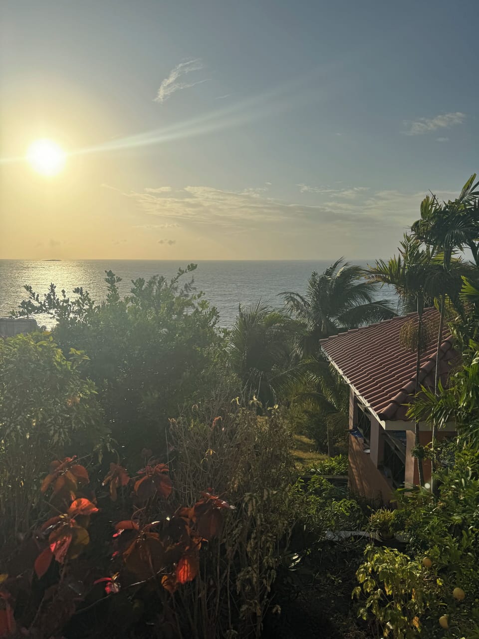 View from property