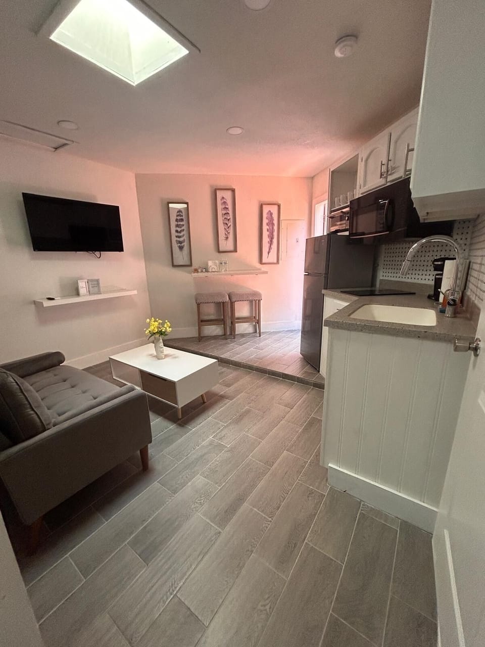 Living room and kitchen