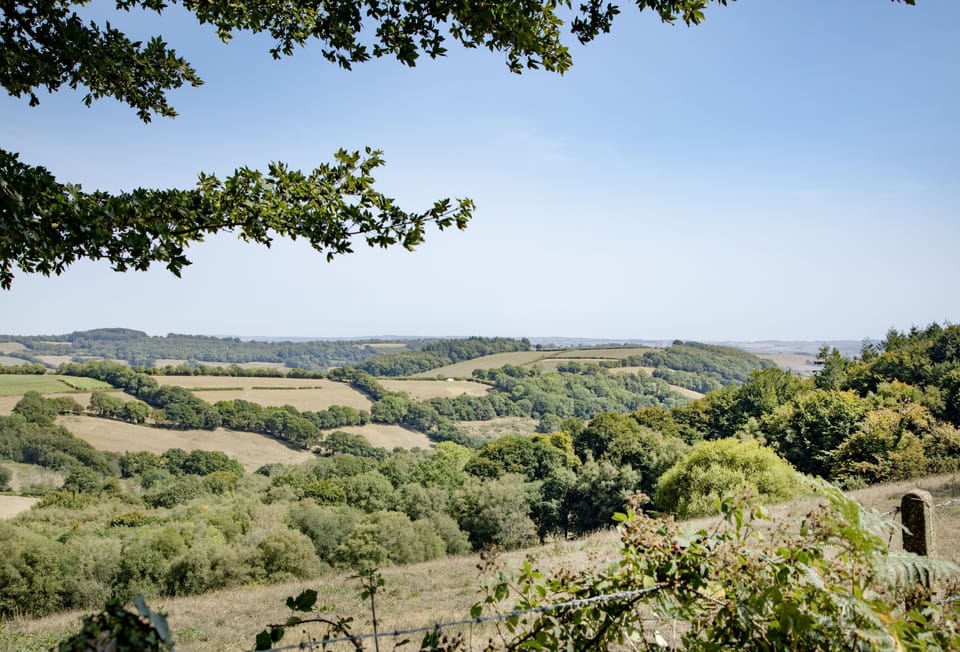 The Old Shippon, near Honiton: Unwind in rural bliss