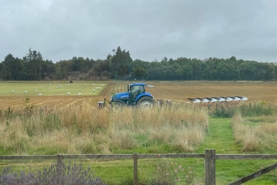 View from the cabins