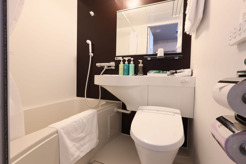 Combined shower/tub, free toiletries, hair dryer, slippers
