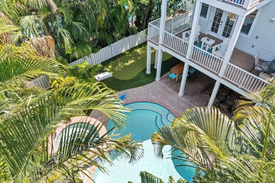 lots of palm trees making the back yard very private