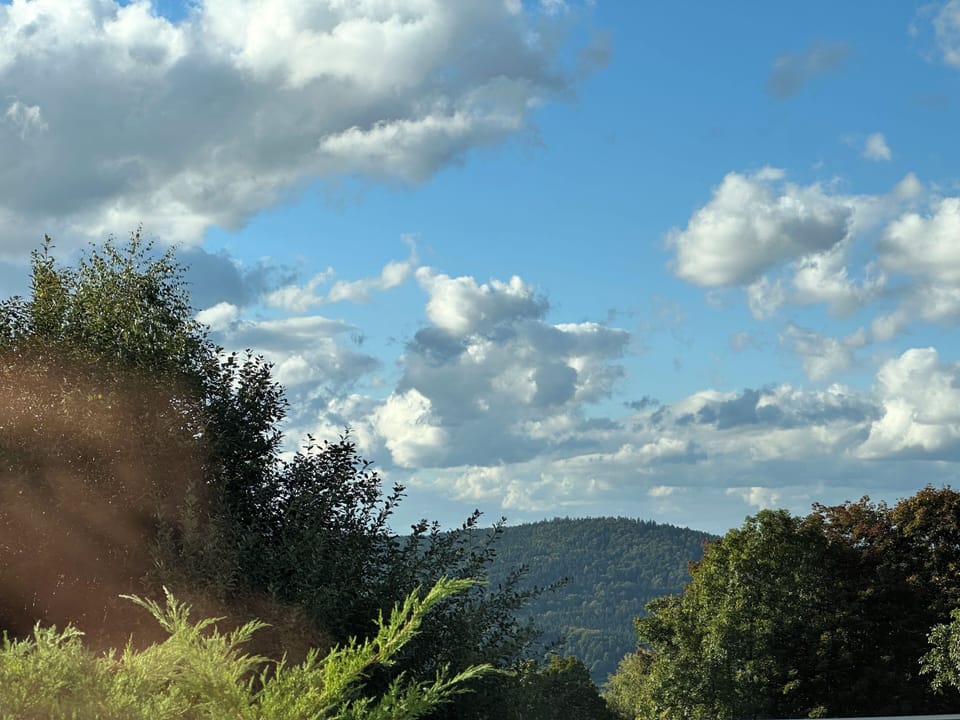 View from property