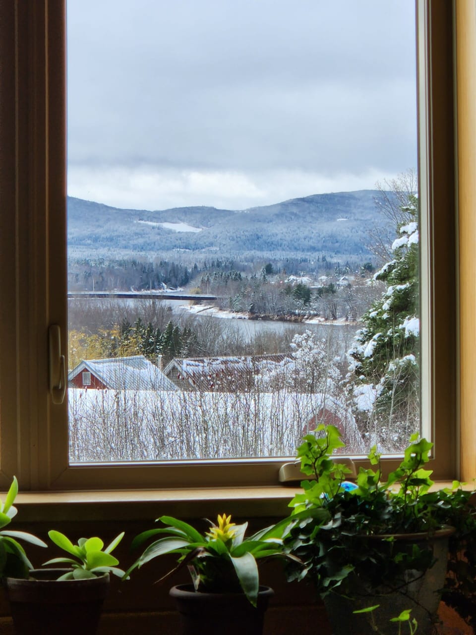 View of the international bridge from the living room