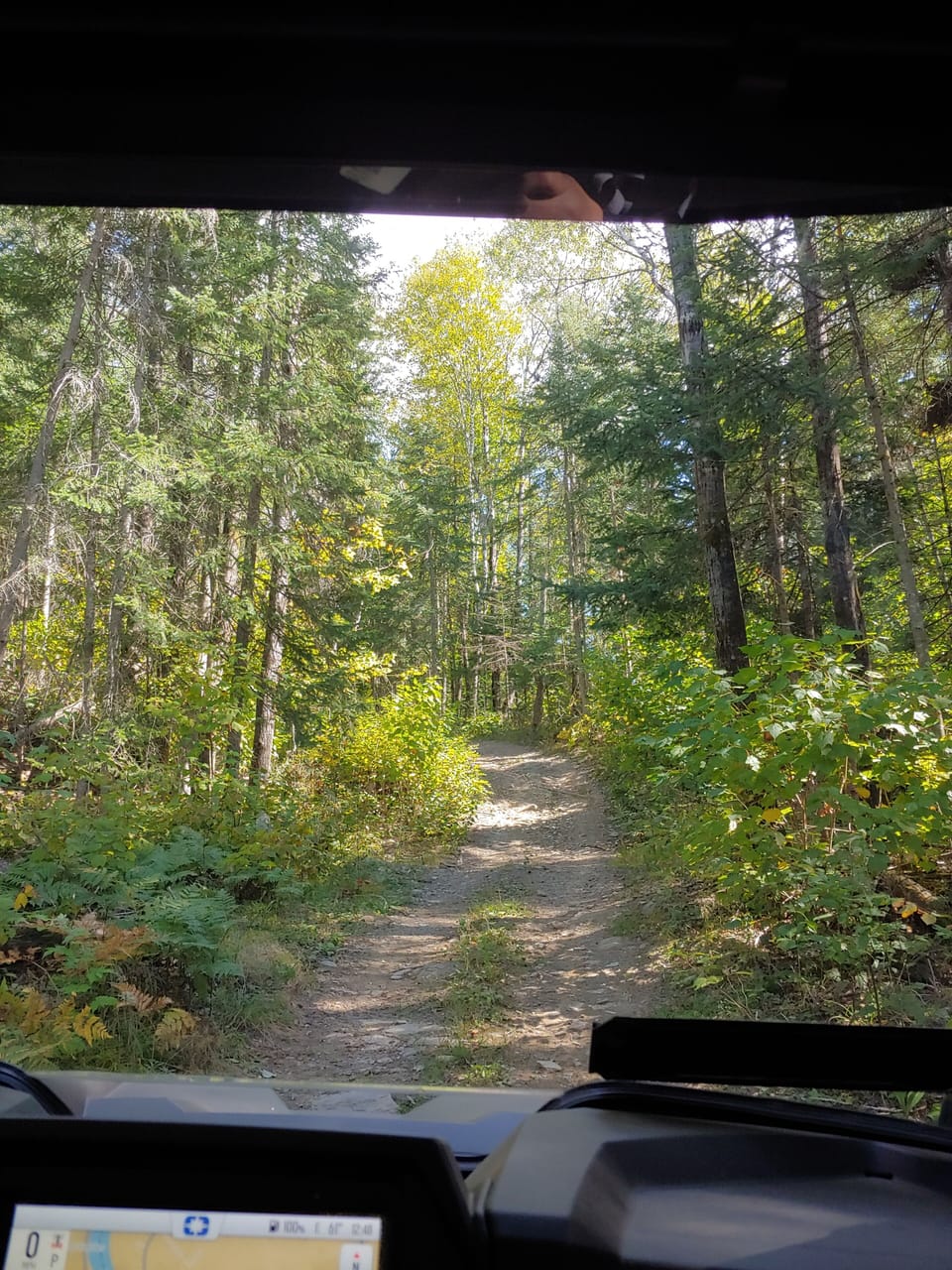 The trail leading through the woods from the yard