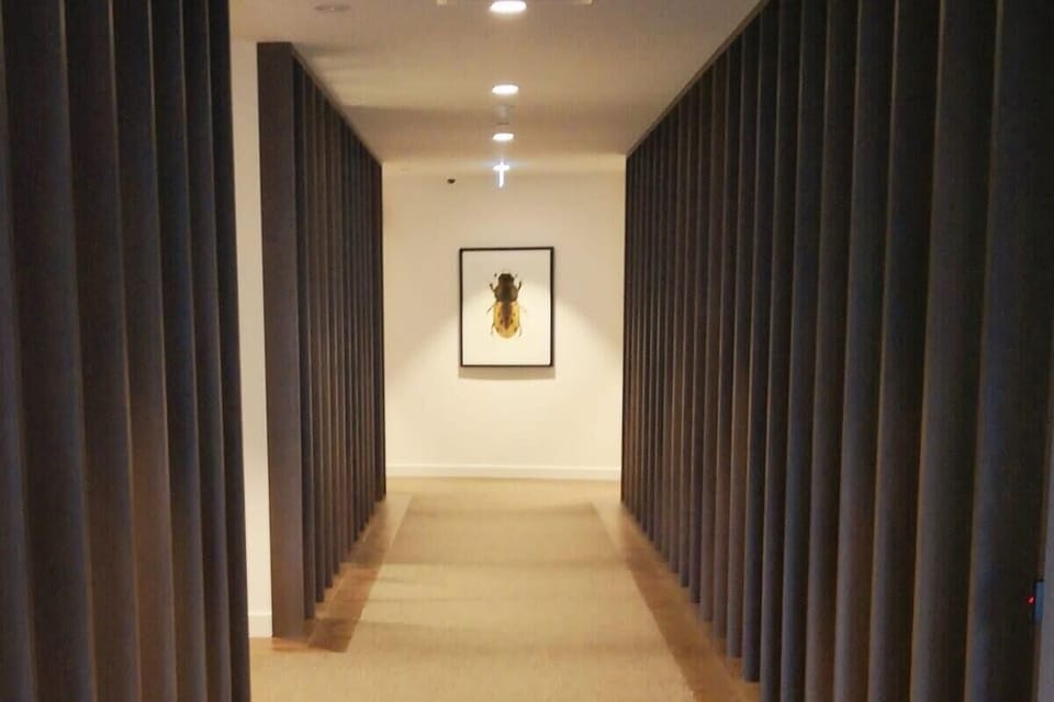 way to library