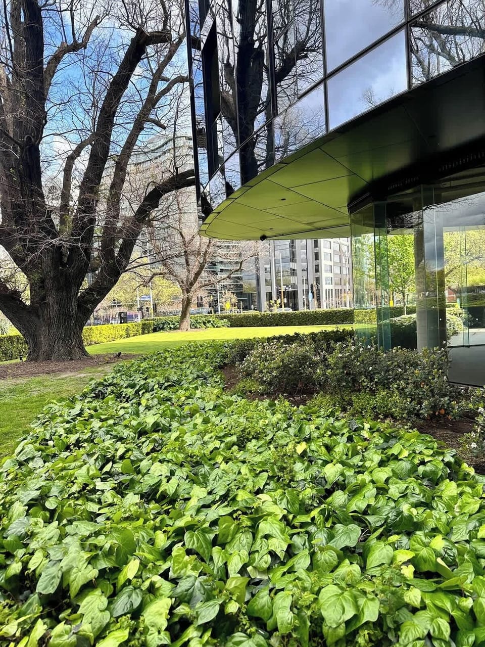 This exquisite property is set within beautifully landscaped gardens, featuring lush greenery and iconic heritage trees that create a serene and peaceful atmosphere right in the heart of the city.
