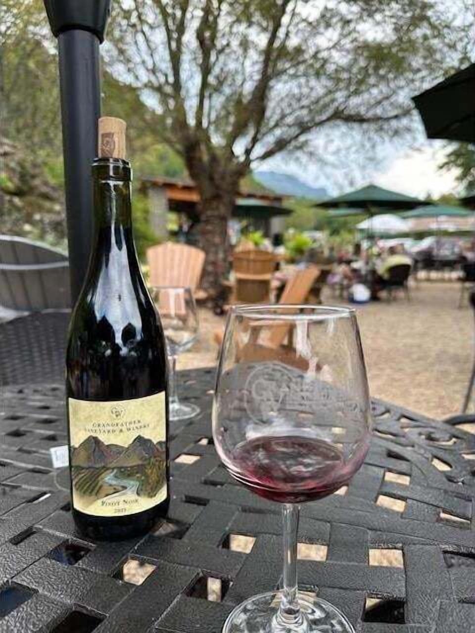 Grandfather Vineyard within Walking Distance
