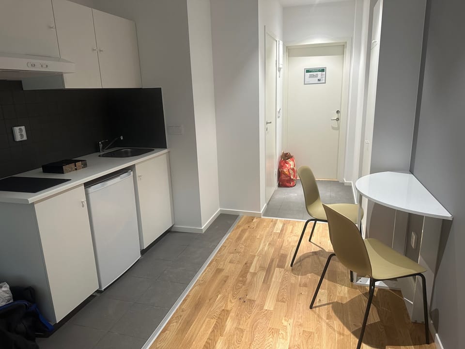 Fridge, stovetop, electric kettle