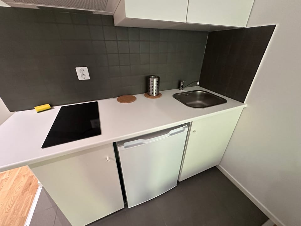 Fridge, stovetop, electric kettle