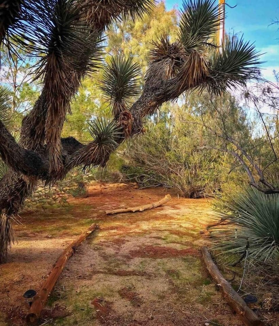 Path to labyrinth