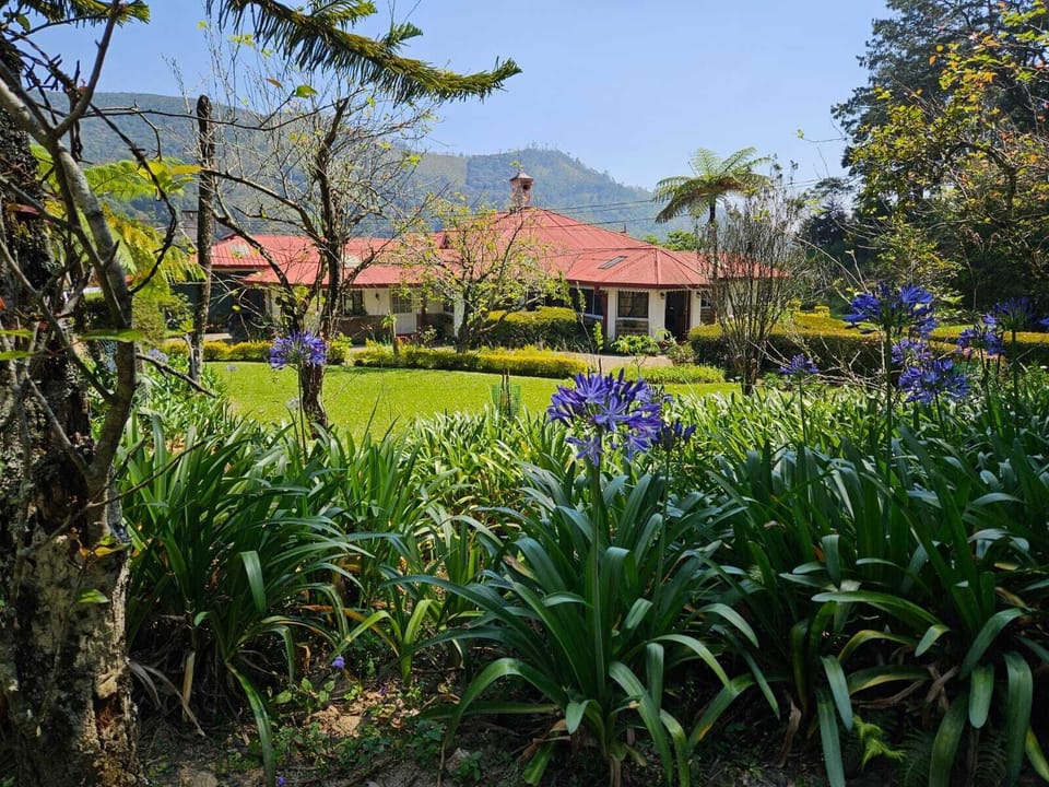The Bungalow