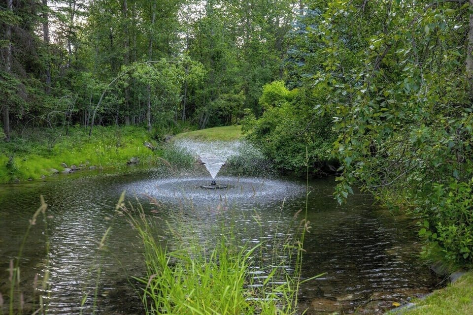 Fountain in the backyard