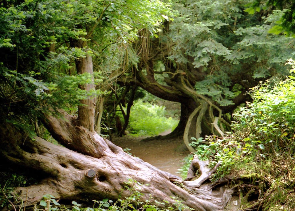 Explore surrounding countryside and woodlands.