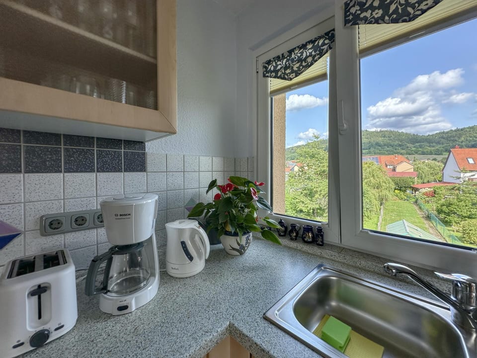 View from Holiday Home [summer]