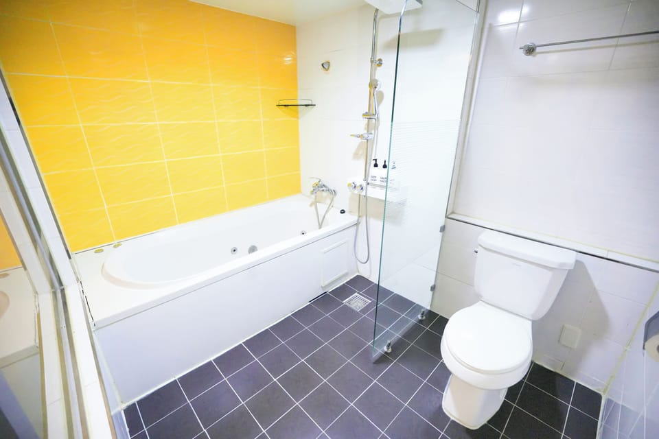 Deluxe Double Room | Bathroom | Hair dryer, towels, soap, shampoo