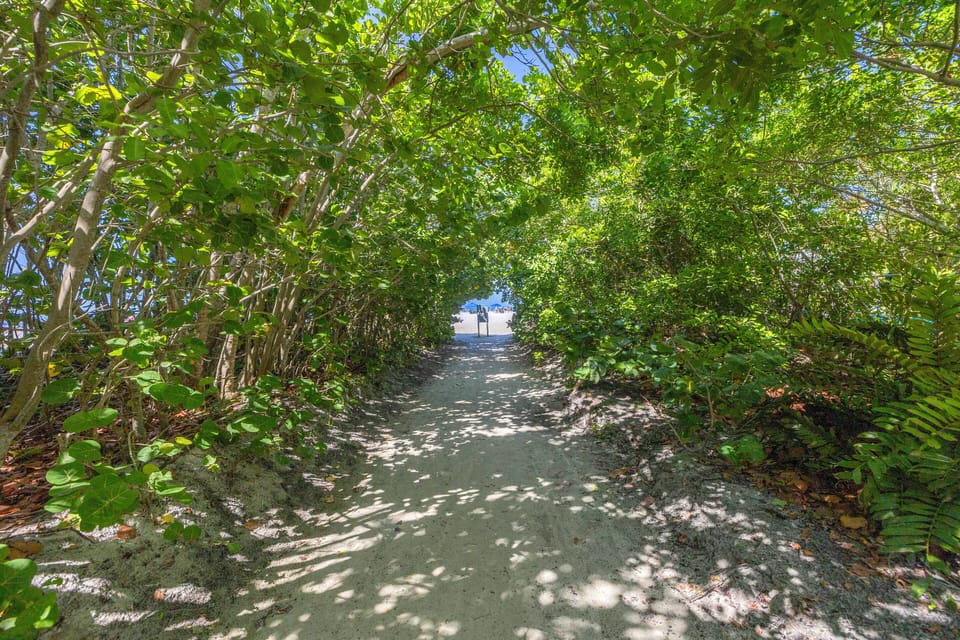 Private Siesta Key beach access path.
