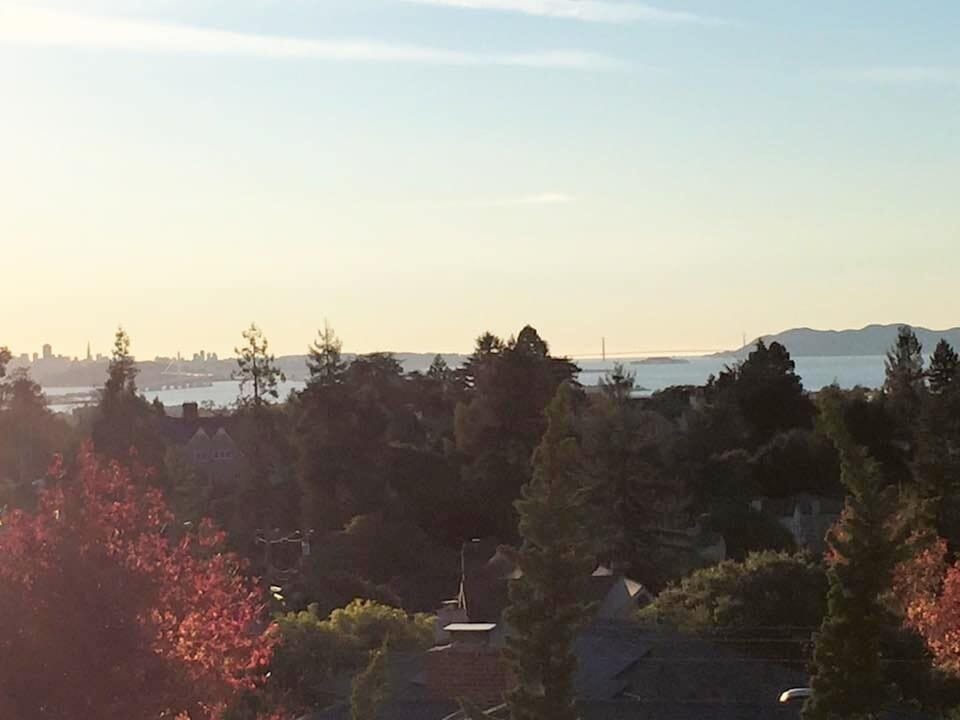 Scenic view of treetops and distant water, offering a peaceful glimpse of the surrounding landscape.