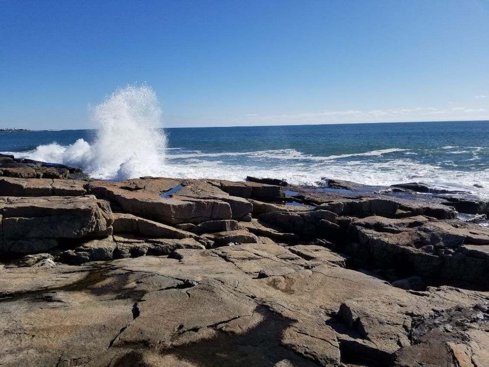 Bike, bus, hike or drive to nearby Acadia National Park