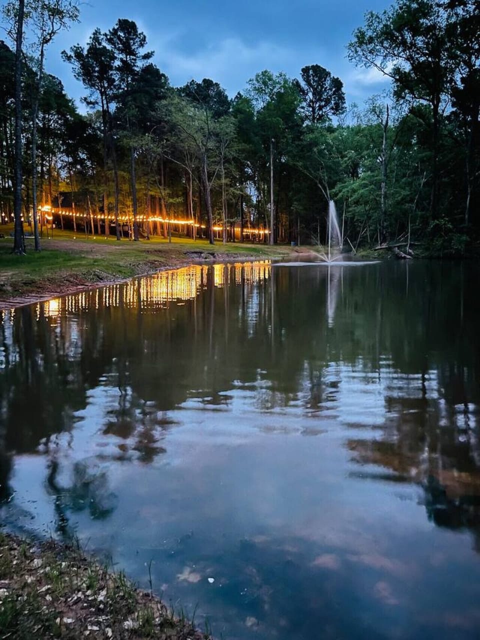 Serene pond surrounded by trees, illuminated at dusk.