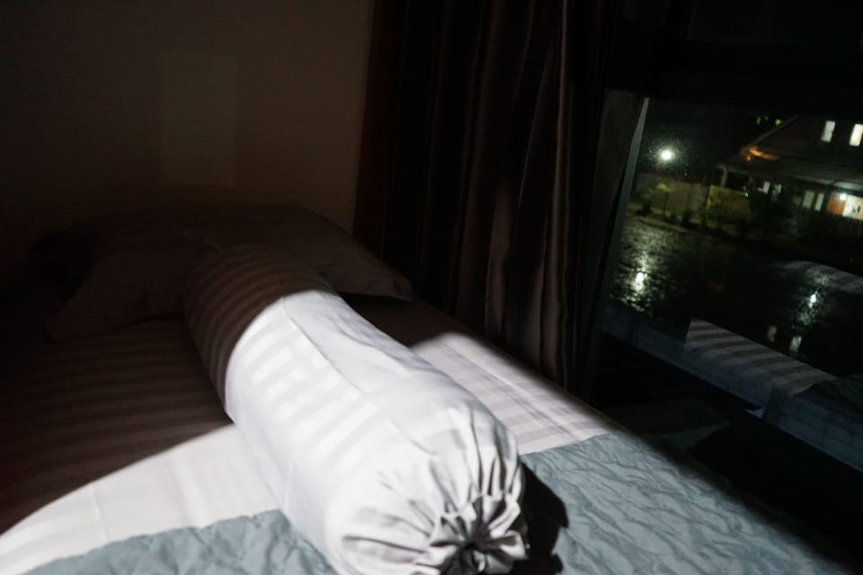 Shared Dormitory, Mixed Dorm | Down comforters, free WiFi, bed sheets
