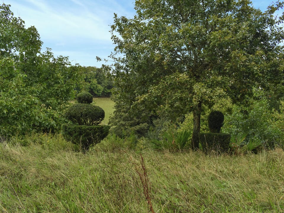 Outdoor | Swallows Barn, Liskeard