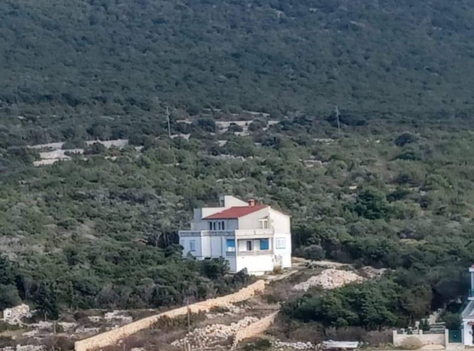 Apartment (Three Bedroom Apartment With Terrace ) | Exterior