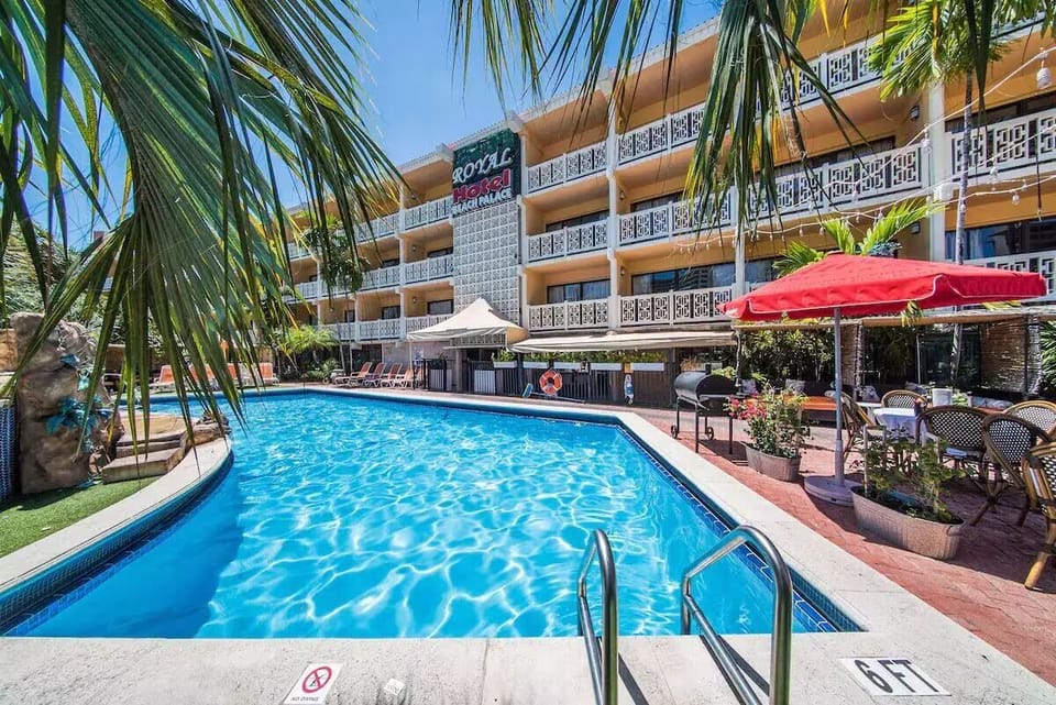 Dive into sparkling sunshine at our palm-framed outdoor pool.