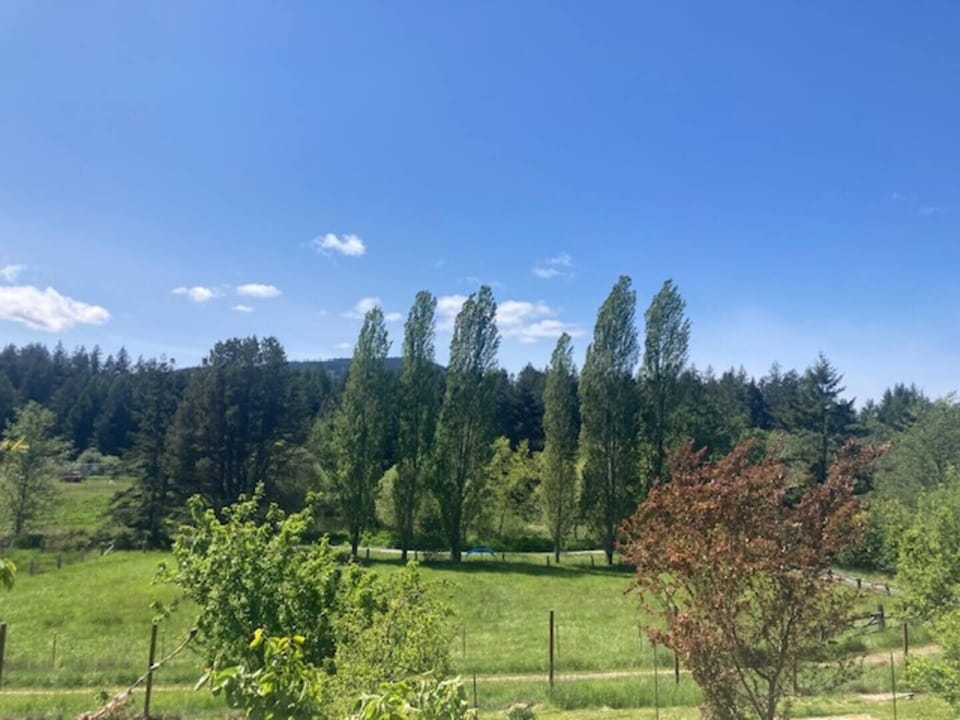 View  from the house