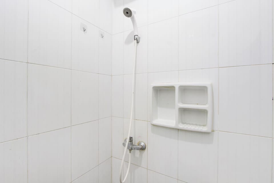 Shower, bidet, towels, soap