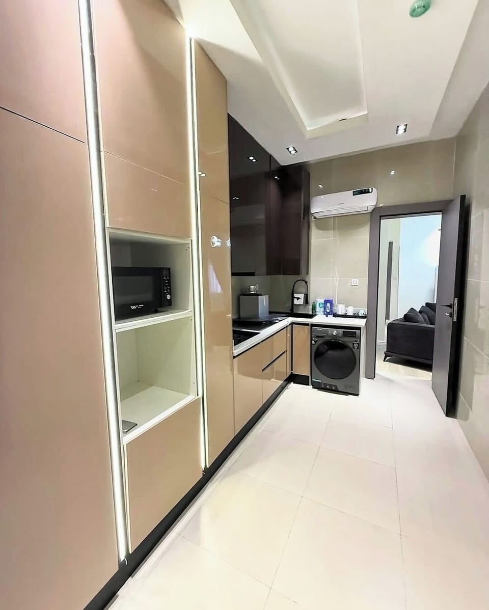 Deluxe Apartment, Balcony, City View | Private kitchen | Fridge, microwave, oven, stovetop