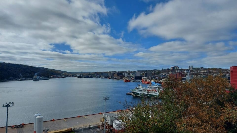Scenic harbor views from Quidi Vidi