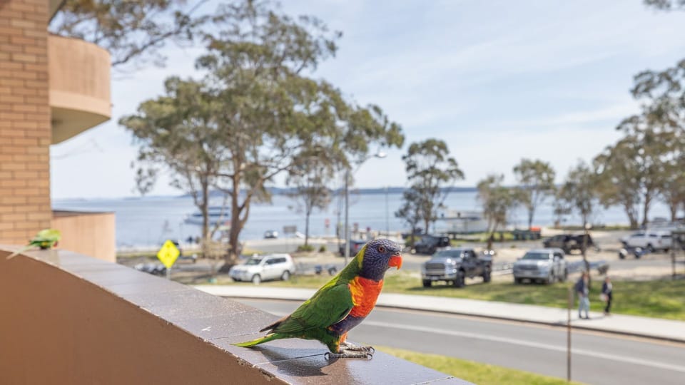 View from property