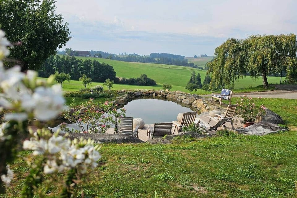 Natural Pond