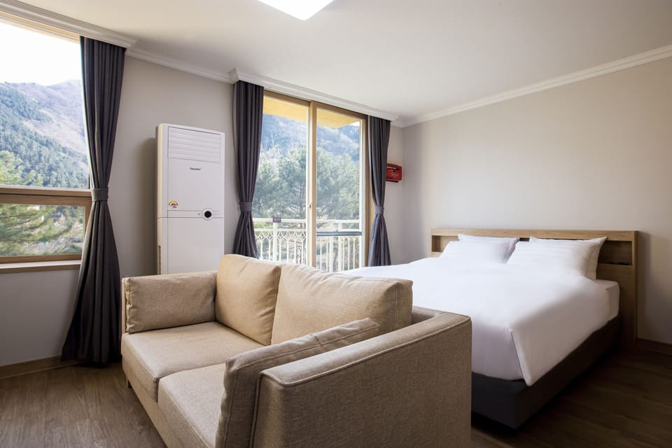 Premier Plus (28PY) | 1 bedroom, blackout drapes, free WiFi, bed sheets