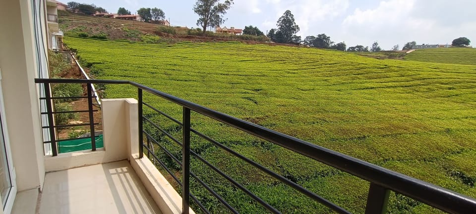 Tea Garden stays Hotel in Ooty