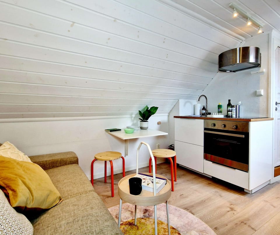Small and functional kitchen