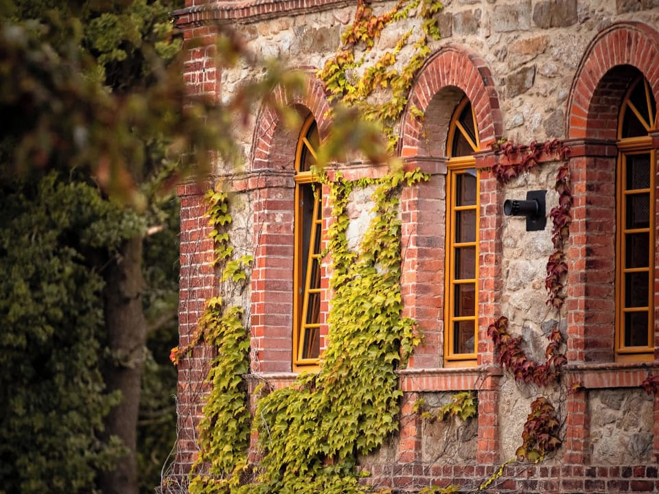 Hexenburg - Details