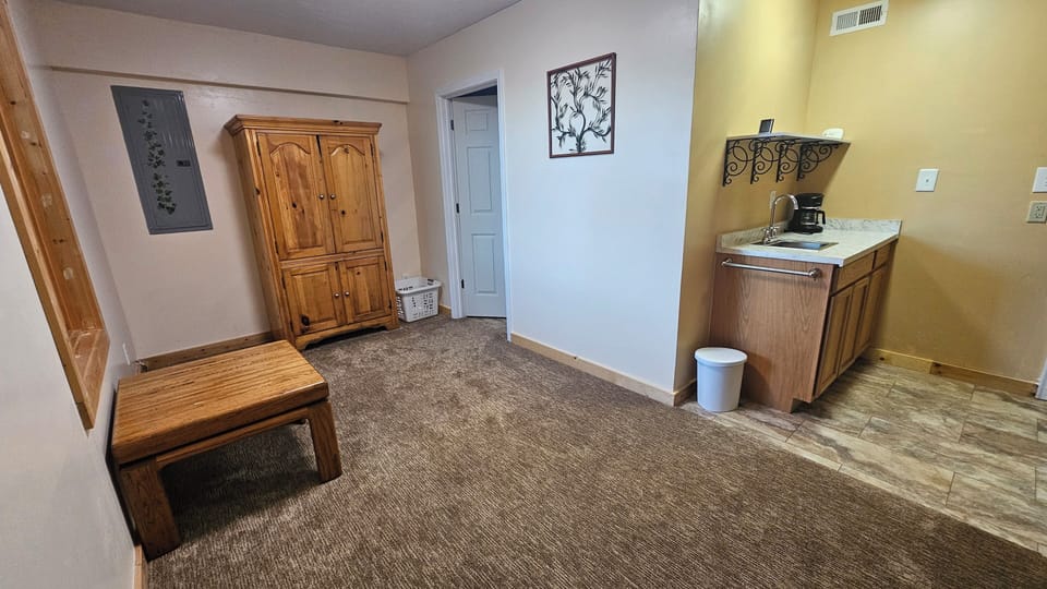 Lower Level Kitchenette