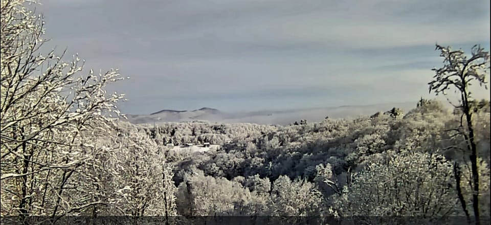 winter wonderland view from deck