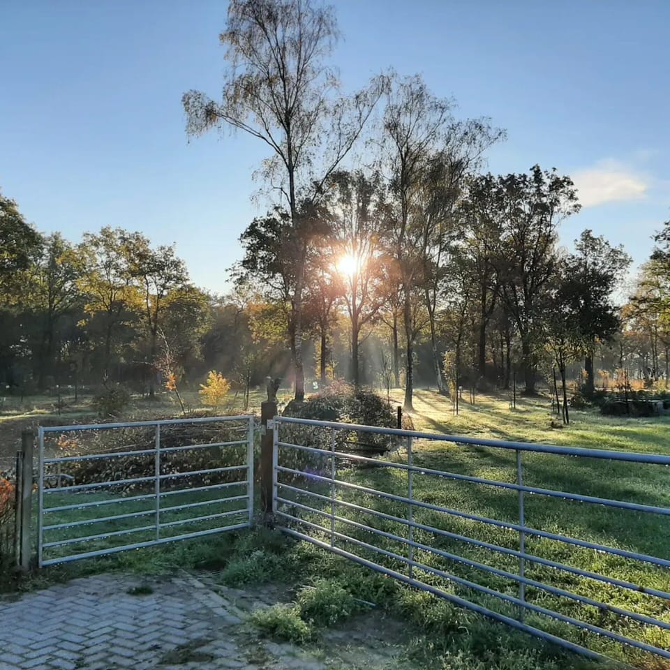House | View from property