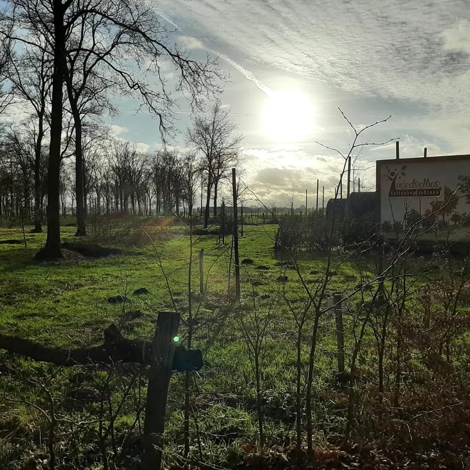 House | View from property