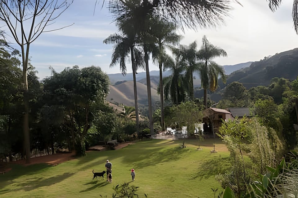 House, Garden View | Miscellaneous