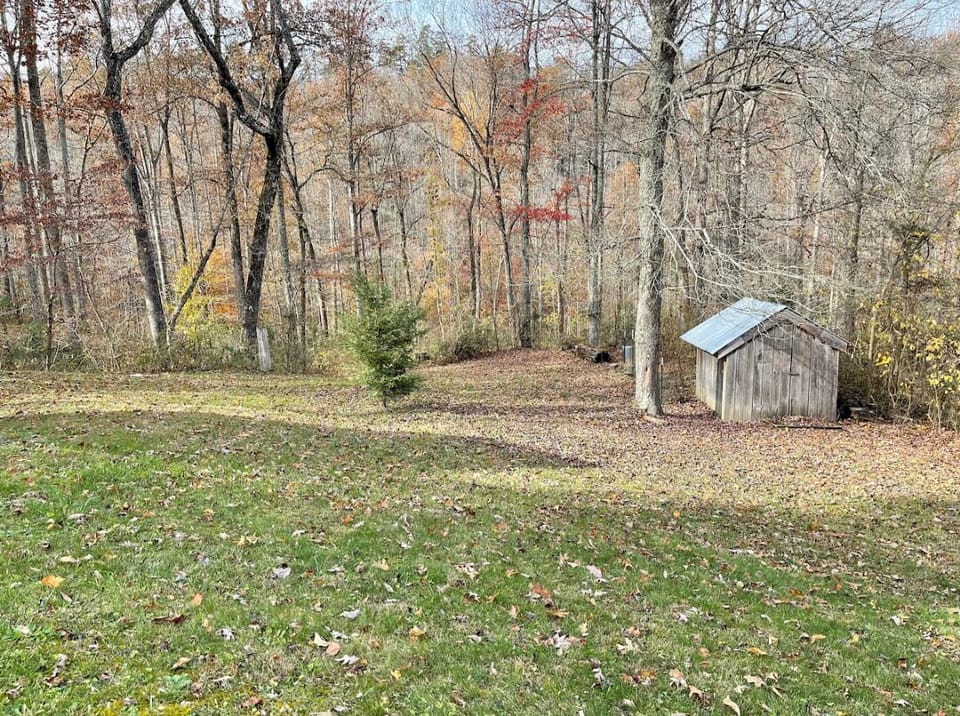 Almost an acre of lawn to use for guests or their pets. 